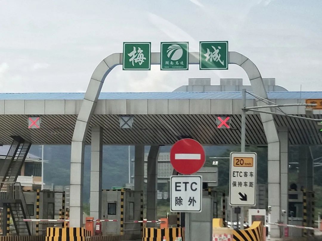 足球比分