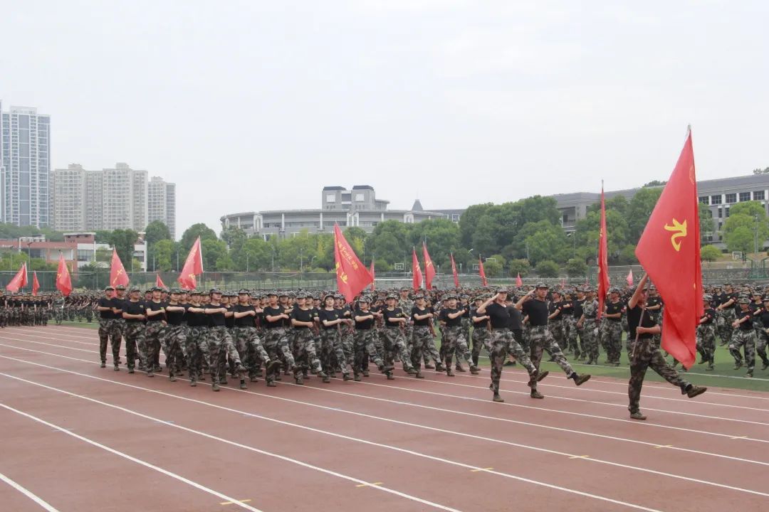 足球比分
