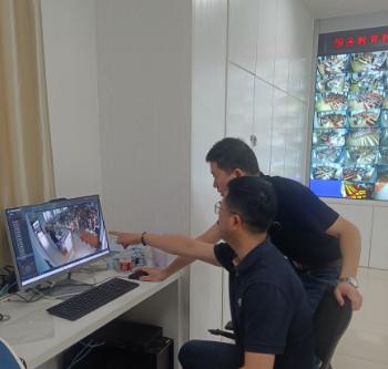 足球比分