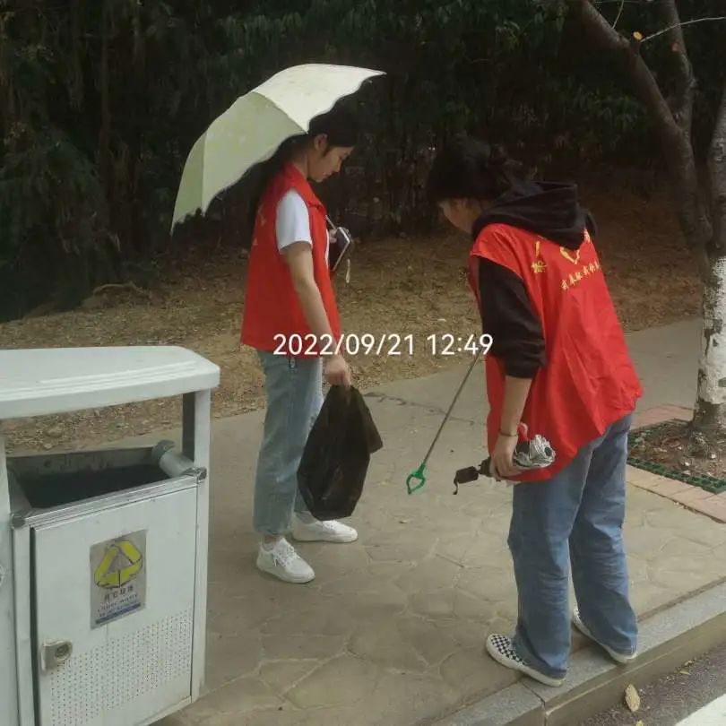 足球比分