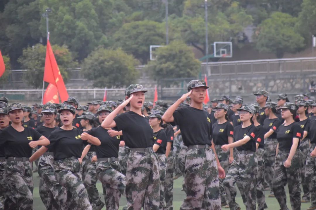 足球比分